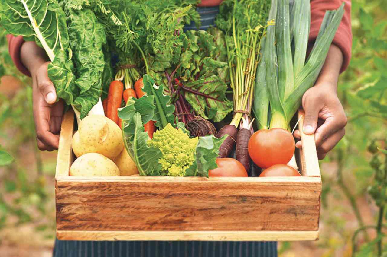 5 Reasons to Opt for a CSA This Summer