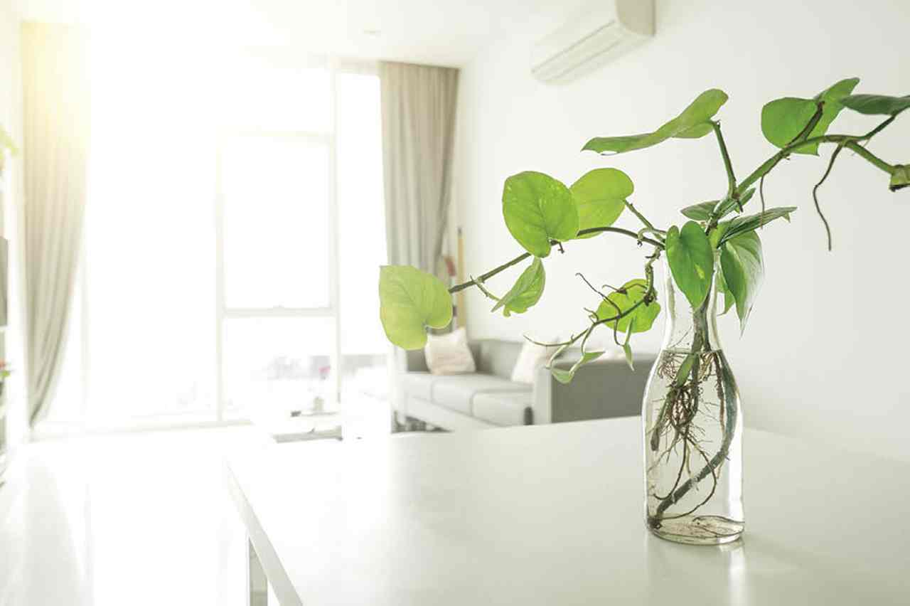 11 Tips to Improve Indoor Air Quality